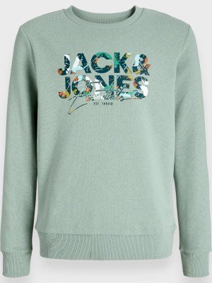 Μπλούζα Αγόρι Φούτερ Jack & Jones 6-16 ετών  Φυστικί